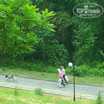 фото из отзыва ID 1504027