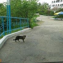 фото из отзыва ID 1504027