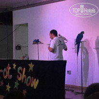 фото из отзыва ID 1504322