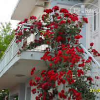 фото из отзыва ID 1504355