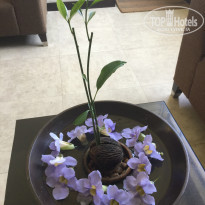 фото из отзыва ID 1504376