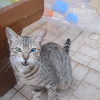 фото из отзыва ID 1504555