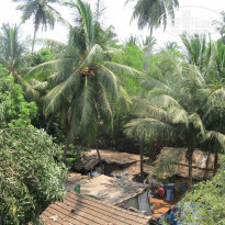 фото из отзыва ID 1504555