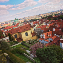 фото из отзыва ID 1503334