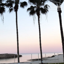 фото из отзыва ID 1504608