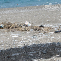 фото из отзыва ID 1504952