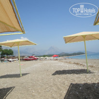 фото из отзыва ID 1504952