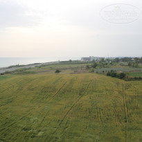 фото из отзыва ID 1504983