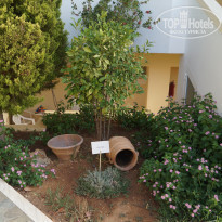 фото из отзыва ID 1504994