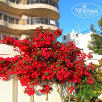 фото из отзыва ID 1505118