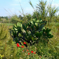 фото из отзыва ID 1502910