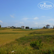 фото из отзыва ID 1502910