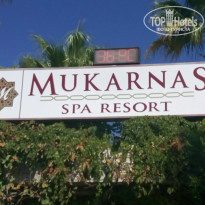 фото из отзыва ID 1505209