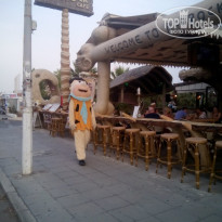 фото из отзыва ID 1505211