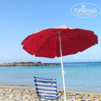 фото из отзыва ID 1505211