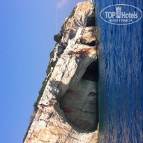 фото из отзыва ID 1505206