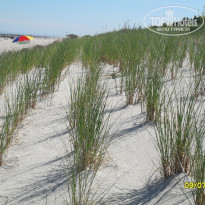 фото из отзыва ID 1505458