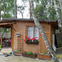 фото из отзыва ID 1505458