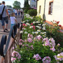 фото из отзыва ID 1505458