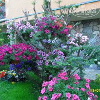 фото из отзыва ID 1505458