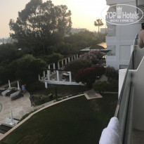 фото из отзыва ID 1505493