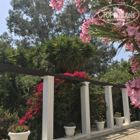 фото из отзыва ID 1505493