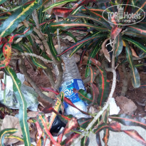 фото из отзыва ID 1505509