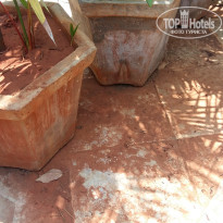 фото из отзыва ID 1505509