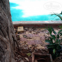 фото из отзыва ID 1505509