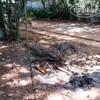 фото из отзыва ID 1505509