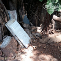 фото из отзыва ID 1505509