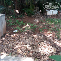 фото из отзыва ID 1505509