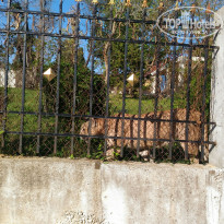 фото из отзыва ID 1505661