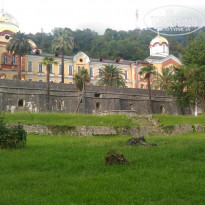 фото из отзыва ID 1505661