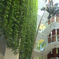 фото из отзыва ID 1505983