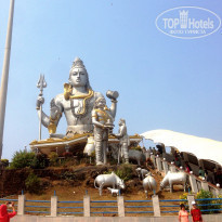 фото из отзыва ID 1505989