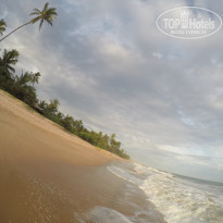 фото из отзыва ID 1506247