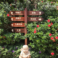 фото из отзыва ID 1506382