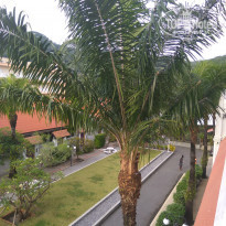 фото из отзыва ID 1506439