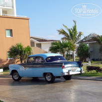 фото из отзыва ID 1506598