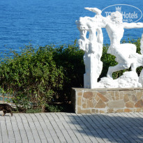 фото из отзыва ID 1506608