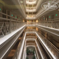 фото из отзыва ID 1506877