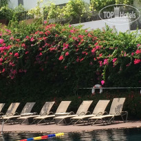 фото из отзыва ID 1506877