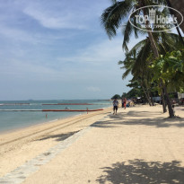 фото из отзыва ID 1506877