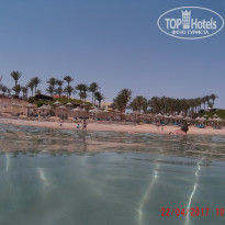 фото из отзыва ID 1507164