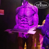 фото из отзыва ID 1507203