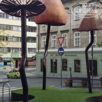 фото из отзыва ID 1507203