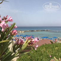 фото из отзыва ID 1507351