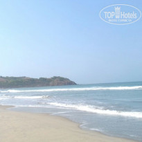 фото из отзыва ID 1507450