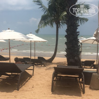 фото из отзыва ID 1507544